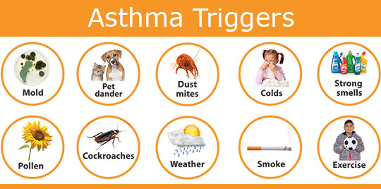 asthma triggers - how to manage your asthma