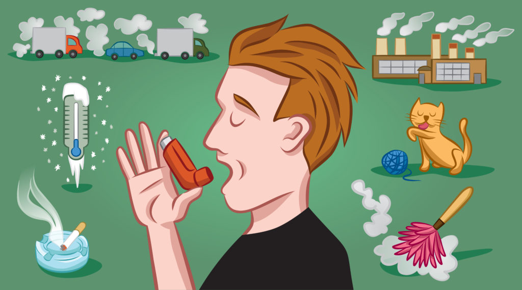 asthma triggers infographic - how to care for a loved one with asthma