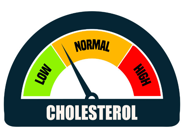 cholesterol meter - managing cholesterol